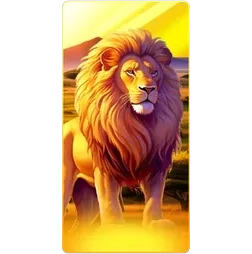 Lion
Safari